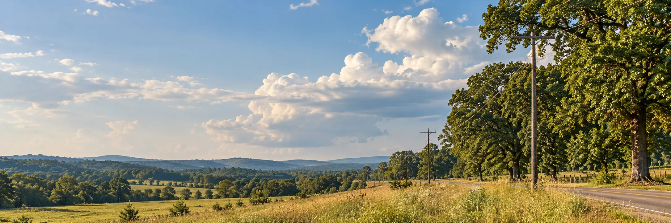 Illustrative tree-lined countryside with power lines beneath a cloud-filled sky
